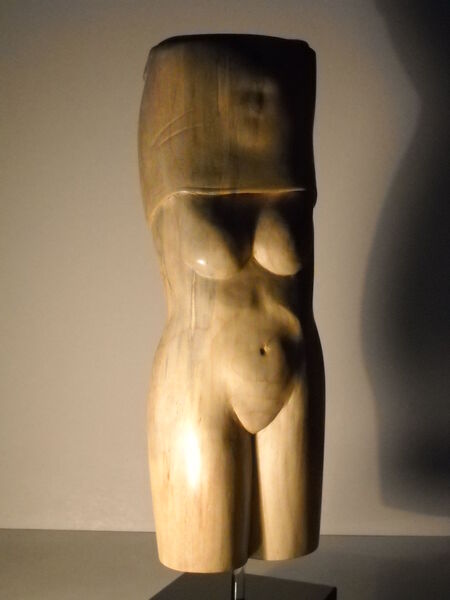 Nudo (e adesso spogliati...)